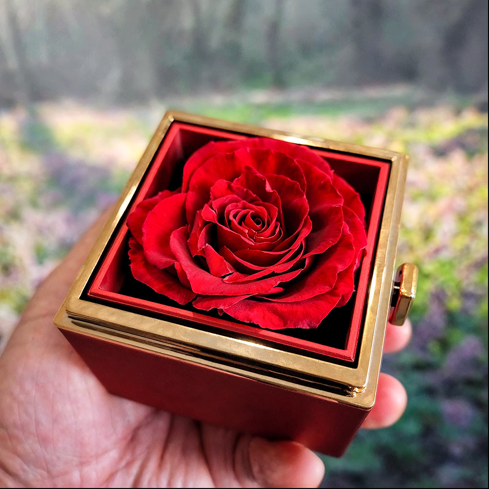 Chapters Squeezed Name - Daughter Birthday Necklace with Rose Box